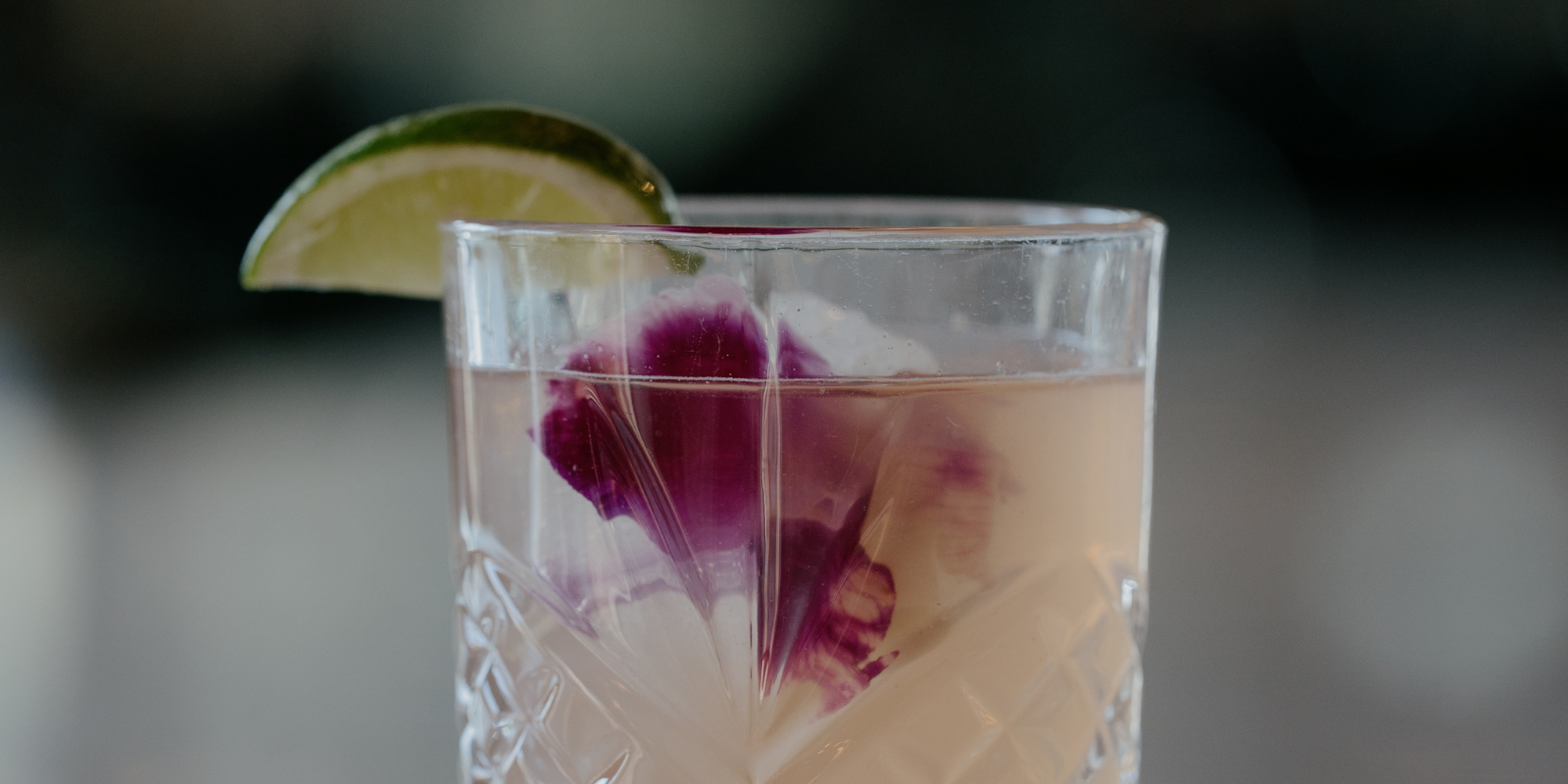 Paloma cocktail